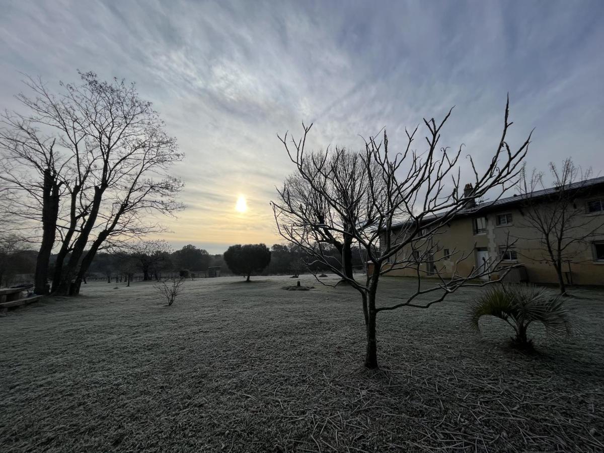Couette-café Chateau Canteloup
