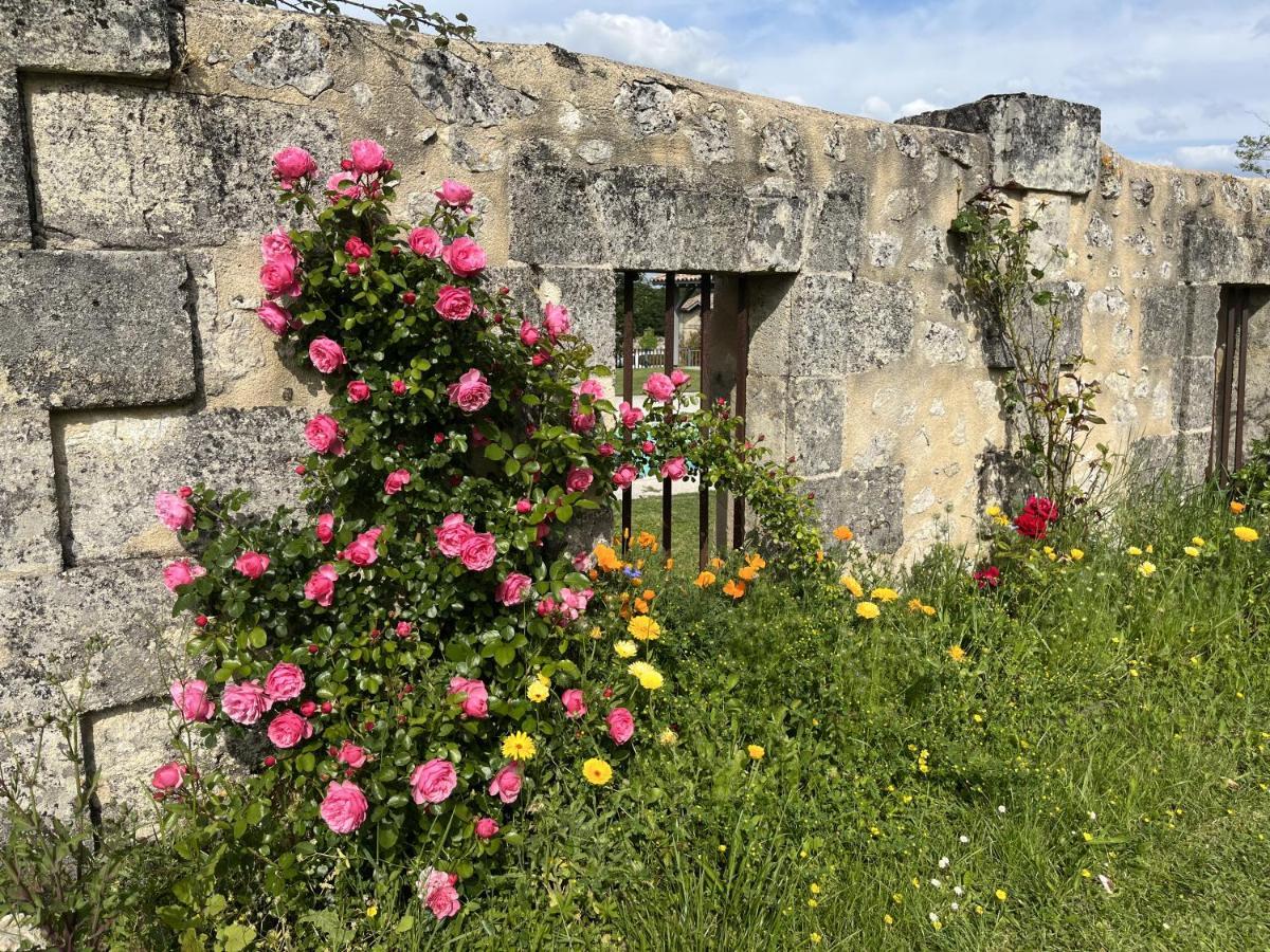 Chateau Canteloup * Saint-Caprais-de-Bordeaux